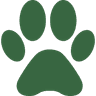 Camo Dog Accessories Logo